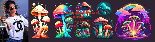 марки lsd Богородицк